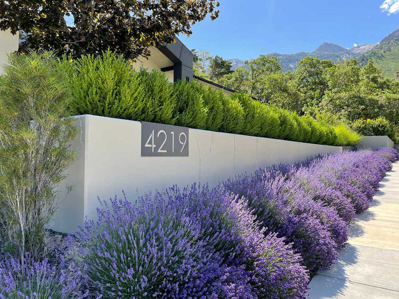 Adonis Dr. Residence
